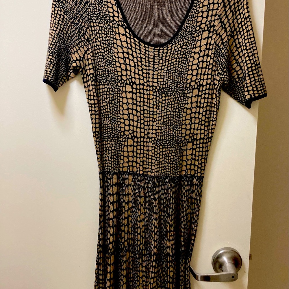 Carmen Mark Volvo dress from Dress Barn xsize large